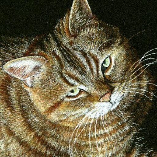 cropped-ElAVw0QQ_400x400.jpg